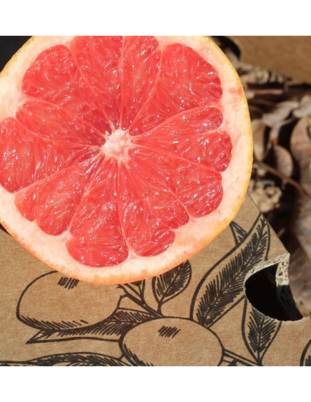 Comprare pompelmi online - Tropitop