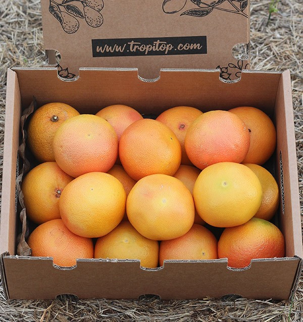 Kaufen Sie Grapefruits online vom Feld zu Ihnen nach Hause
