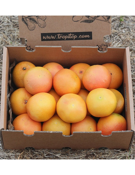 Comprar Pomelos online del campo a tu casa