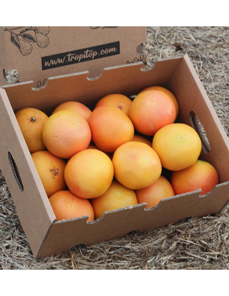 Comprare pompelmi online - Tropitop