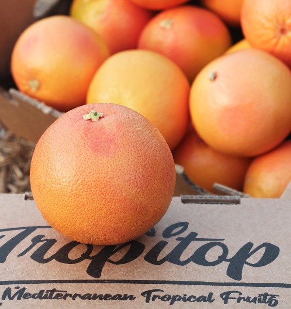 Compre toranja online