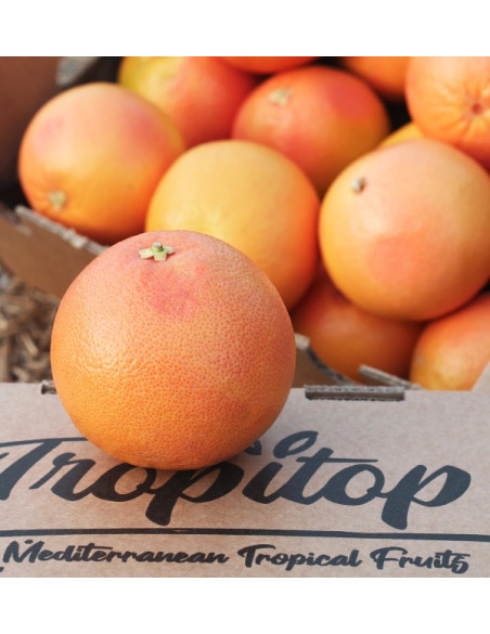 Compre toranja online