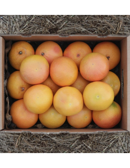 Comprare pompelmi online - Tropitop