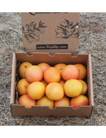 Comprare pompelmi online - Tropitop