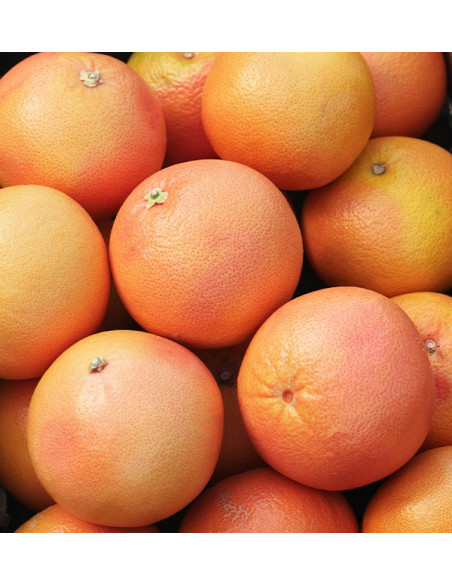 Compre toranja online