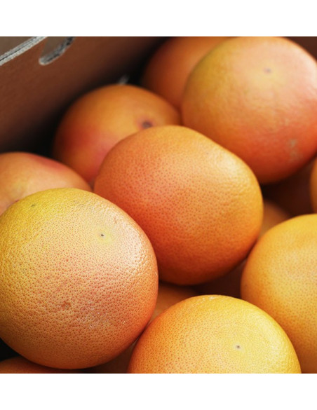 Acheter des pamplemousses online