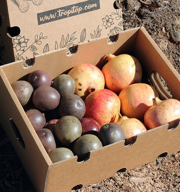 Buy passion fruit and pomegranates online at Tropitop