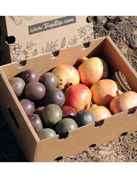 Comprar fruta de la pasión y granadas online en Tropitop