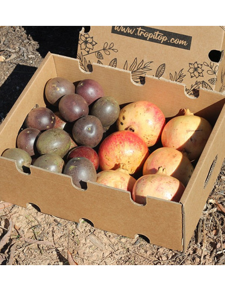Passionfrucht und Granatäpfel online bei Tropitop kaufen