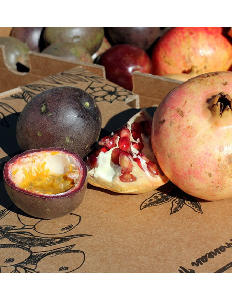 Comprare frutta della passione e melograni online su Tropitop