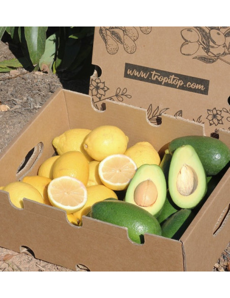 Zitronen und Avocado Bacon