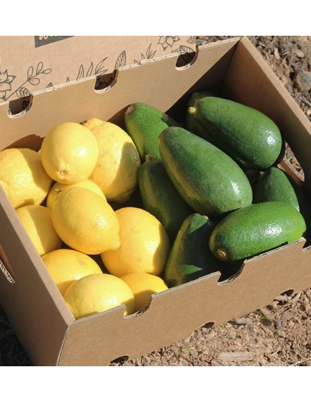 Buy mix avocados bacon and lemons