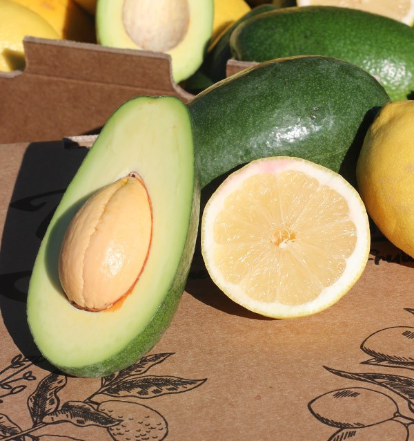 Buy mix avocados bacon and lemons