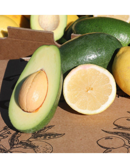 Buy mix avocados bacon and lemons