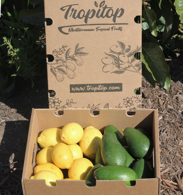 Compre Abacates Bacon e Limões