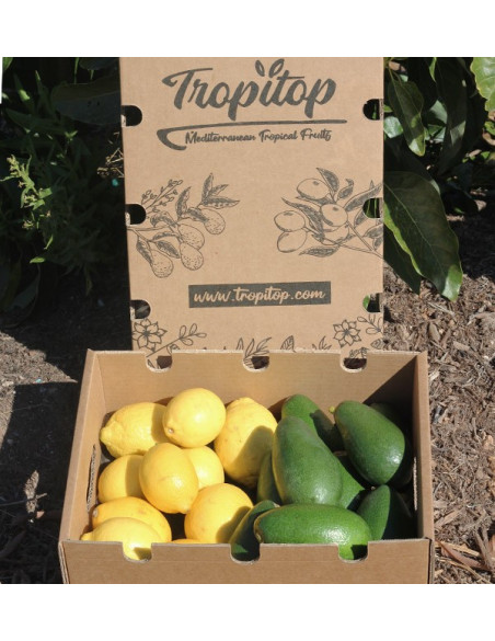 Buy mix avocados bacon and lemons