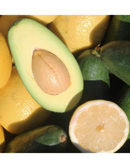 Mix limoni e Avocado Bacon