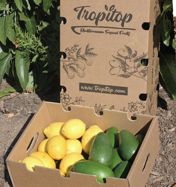 Buy mix avocados bacon and lemons