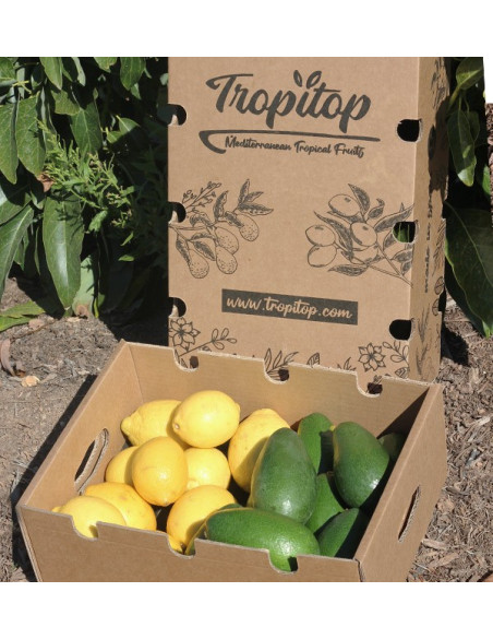 Compre Abacates Bacon e Limões