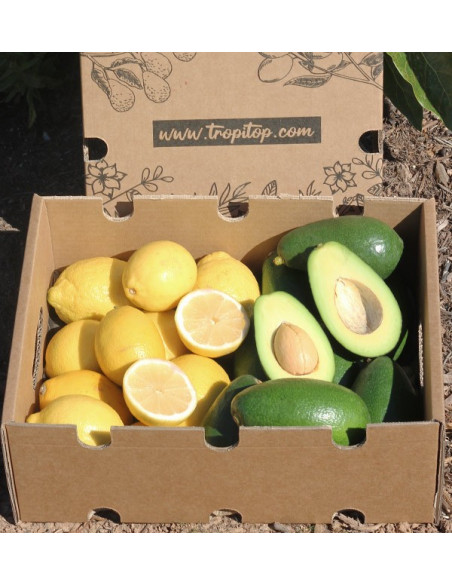 Buy mix avocados bacon and lemons