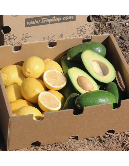 Buy mix avocados bacon and lemons