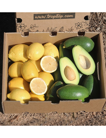 Mix limoni e Avocado Bacon