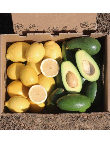 Mix limoni e Avocado Bacon