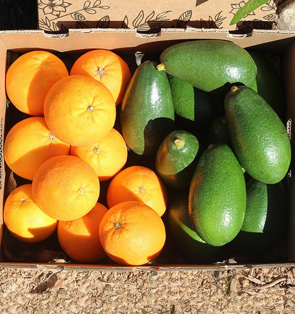 Acheter des avocats bacon et des oranges