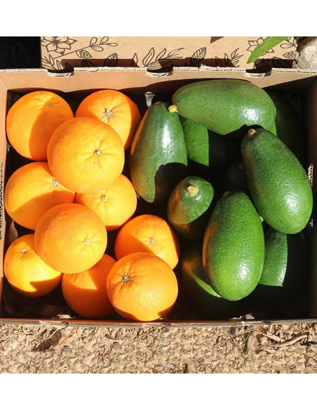 Acheter des avocats bacon et des oranges