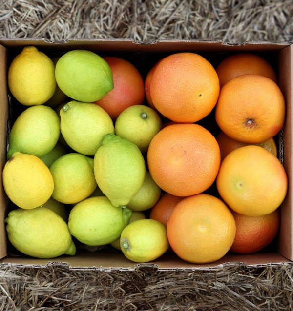 Lemons and grapefruits