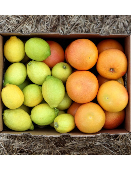 Lemons and grapefruits