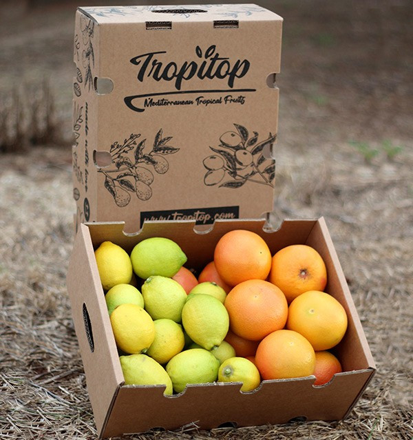 Lemons and grapefruits