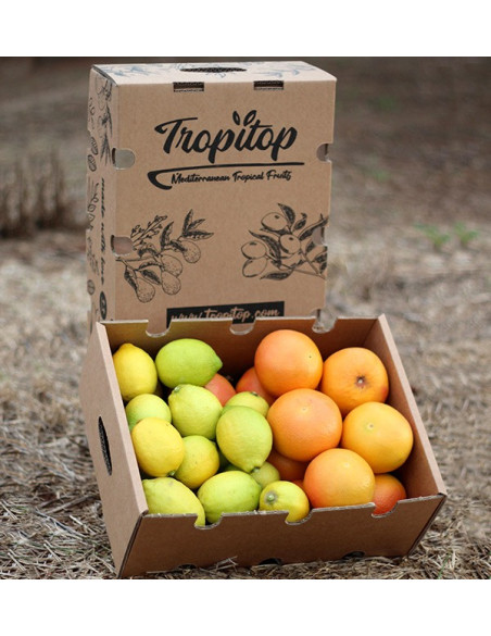 Lemons and grapefruits