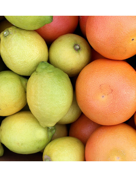Grapefruit und Zitronen kaufen