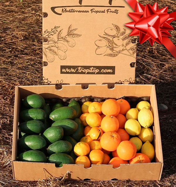 Avocados, orangen, mandarinen und zitronen