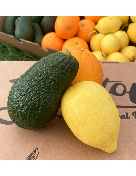 Frühstück mit Avocados: Paket Avocados, Zitronen und Orangen