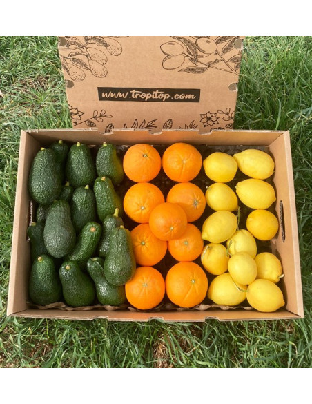 Frühstück mit Avocados: Paket Avocados, Zitronen und Orangen