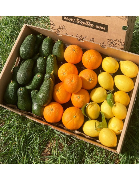 Frühstück mit Avocados: Paket Avocados, Zitronen und Orangen