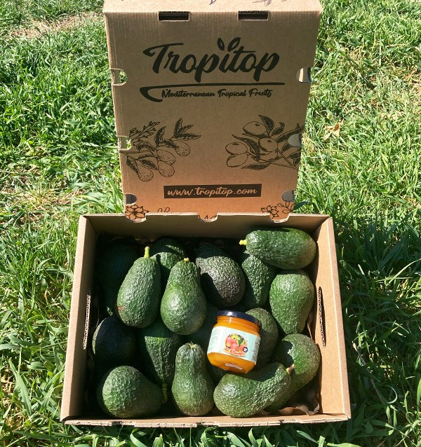 Aguacates Hass y mermelada de mango