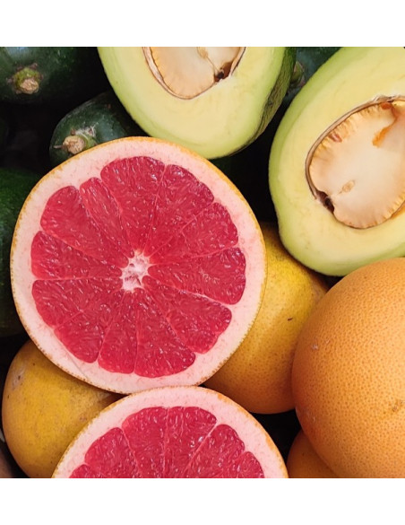 Avocados Bacon und Grapefruits