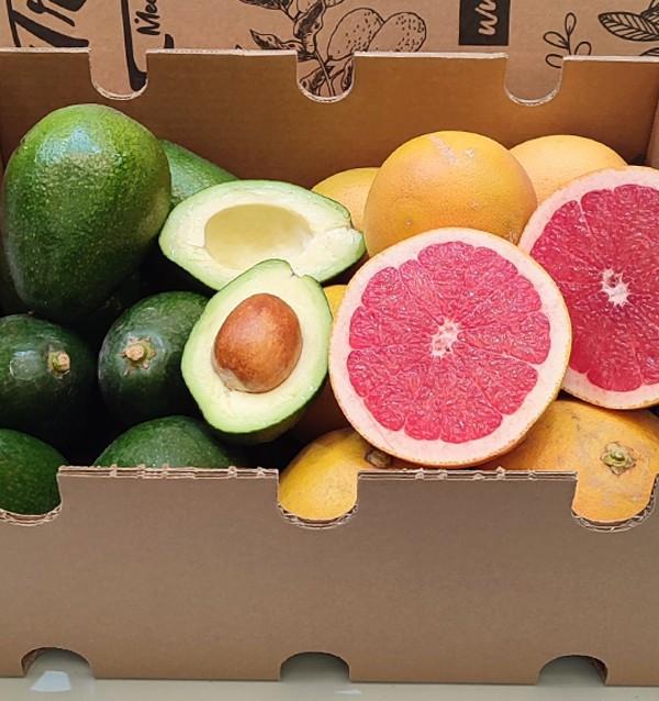 Avocados Bacon und Grapefruits