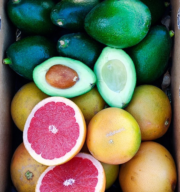 Comprar Aguacates Bacon y Pomelos