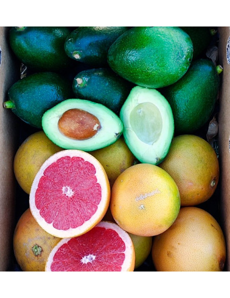 Comprar Aguacates Bacon y Pomelos