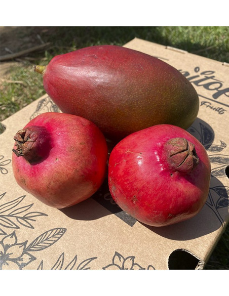 Acheter grenade et mangue en ligne sur Tropitop