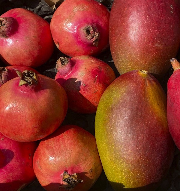 Acheter grenade et mangue en ligne sur Tropitop