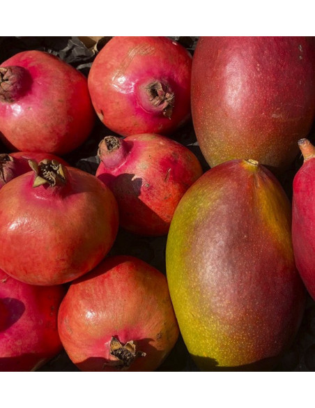 Acheter grenade et mangue en ligne sur Tropitop