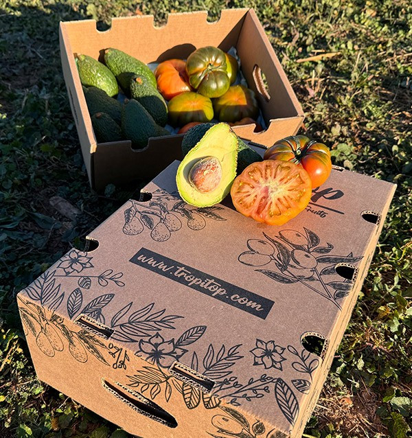 Hass Avocado und Raf Tomaten online bei Tropitop kaufen