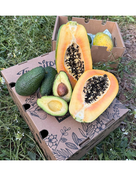 Acquista Avocado Hass e Papaia | Gusto Cremoso ed Esotico su Tropitop