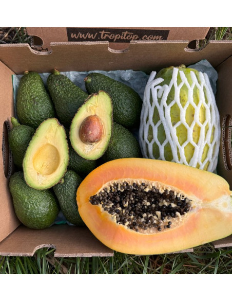 Acquista Avocado Hass e Papaia | Gusto Cremoso ed Esotico su Tropitop