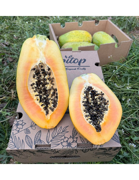 Buy Papayas Online | Discover the Exotic Flavor and Health Benefits